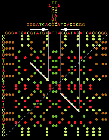 Graphic Matrix