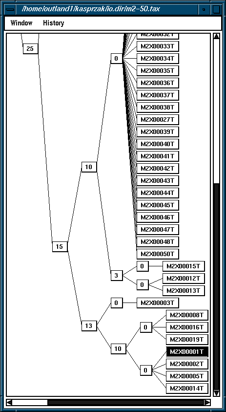 Different representation of same taxonomy tree