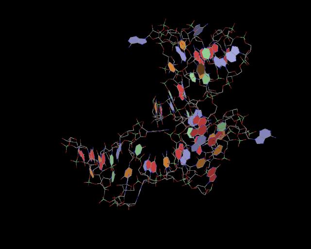 3d structure of junction